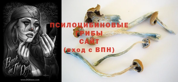 сатива Володарск