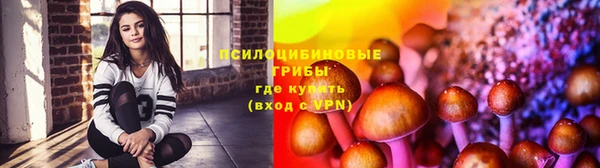 сатива Володарск
