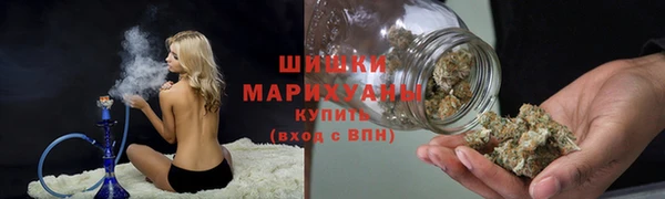 сатива Володарск