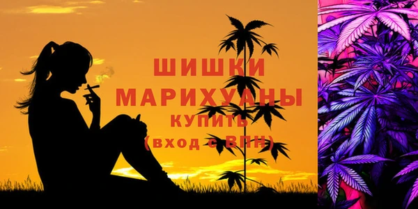 сатива Володарск