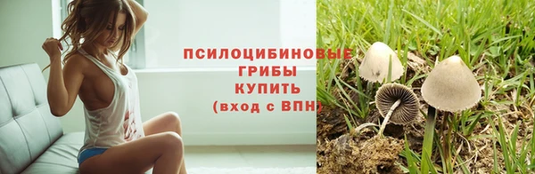 сатива Володарск