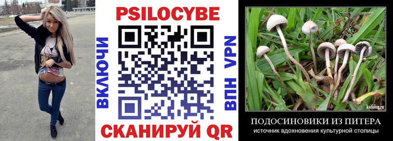 Купить где Галич Галлюциногенные грибы Psilocybine cubensis